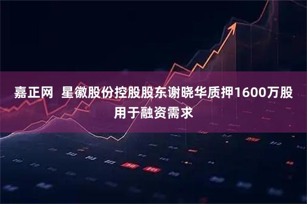 嘉正网  星徽股份控股股东谢晓华质押1600万股用于融资需求