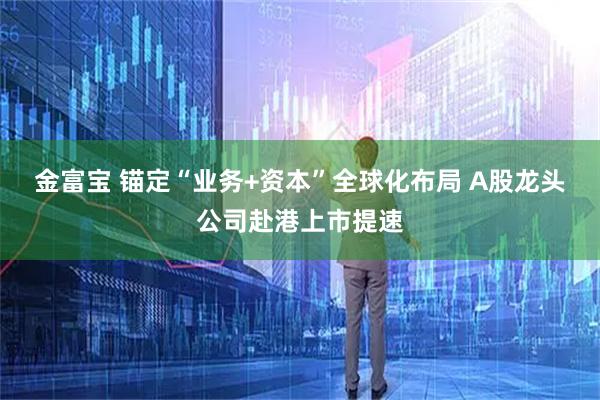 金富宝 锚定“业务+资本”全球化布局 A股龙头公司赴港上市提速