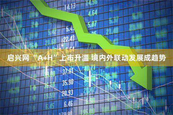 启兴网 “A+H”上市升温 境内外联动发展成趋势