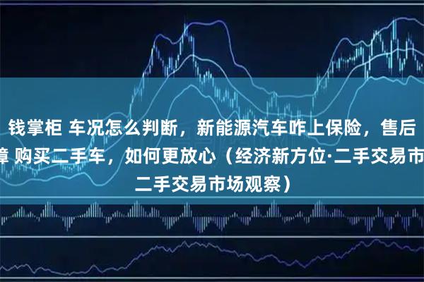 钱掌柜 车况怎么判断，新能源汽车咋上保险，售后谁来保障 购买二手车，如何更放心（经济新方位·二手交易市场观察）
