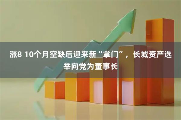 涨8 10个月空缺后迎来新“掌门”,长城资产选举向党为董事长