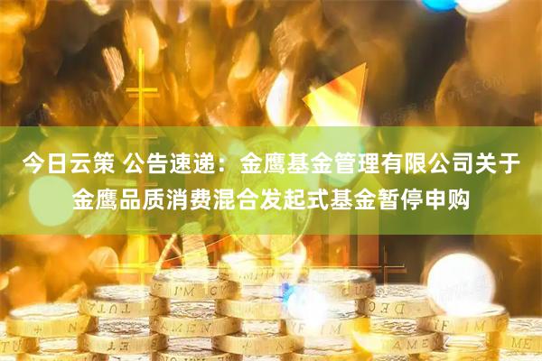 今日云策 公告速递:金鹰基金管理有限公司关于金鹰品质消费混合发起式基金暂停申购