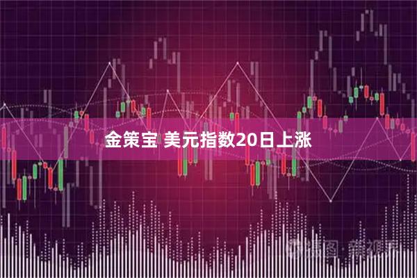 金策宝 美元指数20日上涨